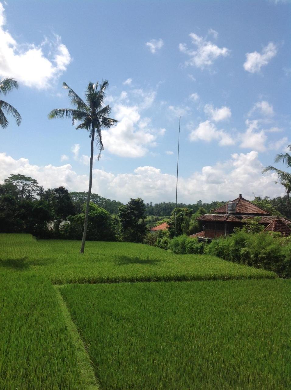 Uma Dhari By Prasi Ubud